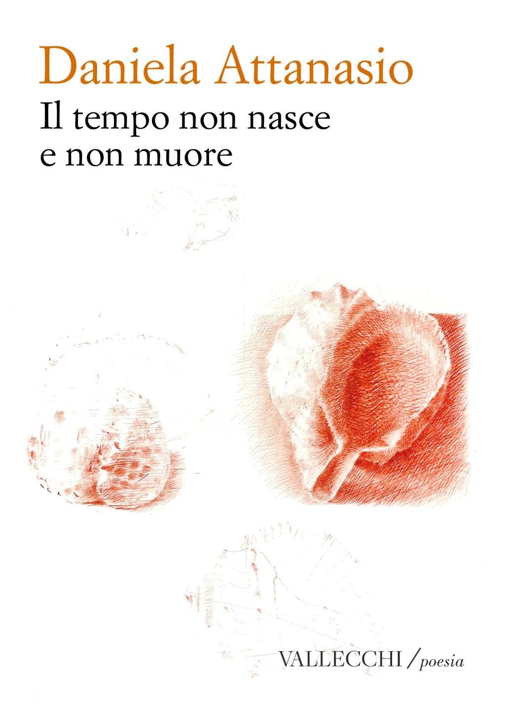 Daniela Attanasio: “IL TEMPO NON NASCE E NON MUORE”. La memoria, come sintassi umana del tempo, è il grande movimento che anima questo libro. (Vallecchi/Poesia). Dal 19 giugno 2026, in&nbsp;libreria