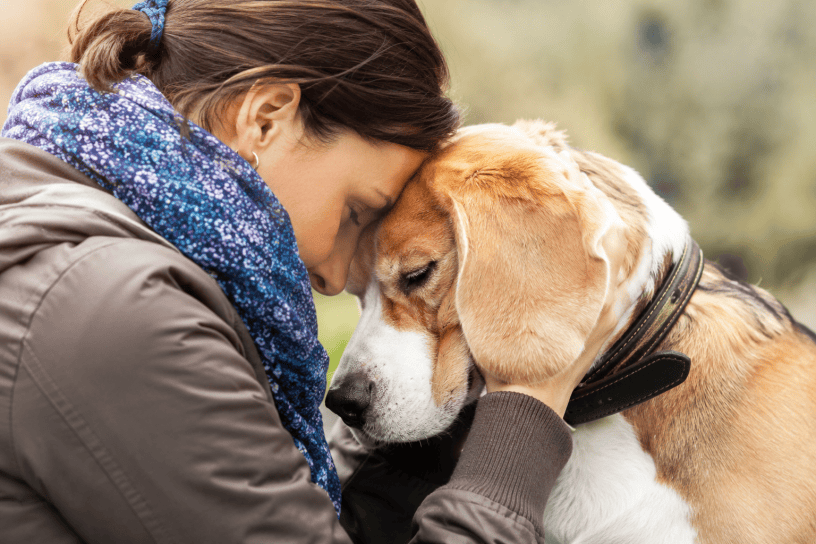 Donna che abbraccia affettuosamente il suo cane in un momento di profonda connessione emotiva all'aperto. Immagine che rappresenta l'amore, la gelosia, la tristezza e le emozioni nel comportamento animale.