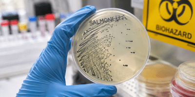Alimenti freschi conservati in una cucina moderna con particolare attenzione a uova, carne e verdure. Immagine fotografica realistica dedicata alla prevenzione della salmonella e alla sicurezza alimentare.