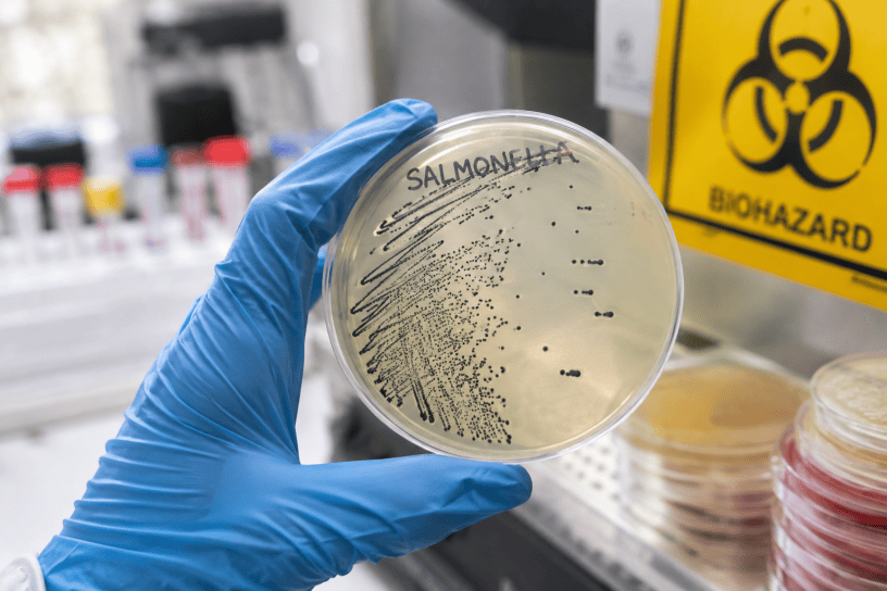 Alimenti freschi conservati in una cucina moderna con particolare attenzione a uova, carne e verdure. Immagine fotografica realistica dedicata alla prevenzione della salmonella e alla sicurezza alimentare.