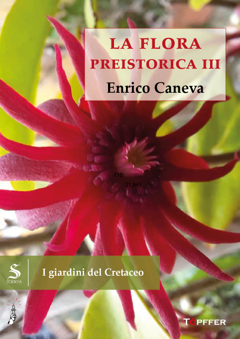l terzo capitolo della trilogia sulla flora preistorica: “La flora preistorica III. I giardini del Cretaceo” di Enrico Caneva. Un viaggio tra l’enigma botanico delle prime piante a fiore e i grandi sconvolgimenti geologici della Terra. (Töpffer) Dal 22 giugno 026, in libreria