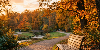 Empty wooden park bench beside a gravel path with autumn trees and fallen leaves