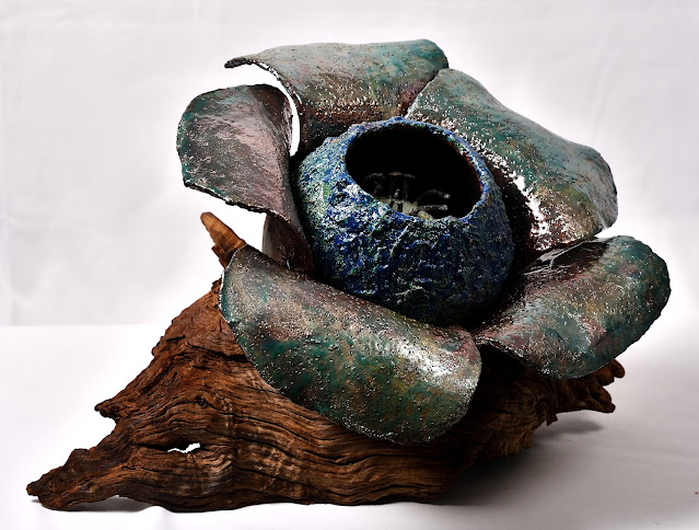 Mostra di ceramiche Raku di Renza Laura Sciutto. Raku: Gioia di Vivere