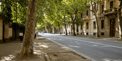 Viale urbano alberato in estate, con uno spazio vuoto nel filare dove manca un albero.