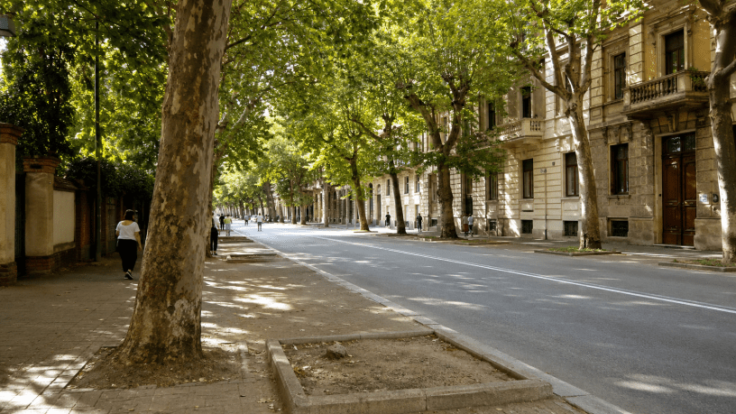 Viale urbano alberato in estate, con uno spazio vuoto nel filare dove manca un albero.
