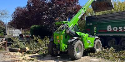 Mezzi al lavoro per rimuovere il grande albero abbattuto dal temporale in corso IV Novembre ad Alessandria.