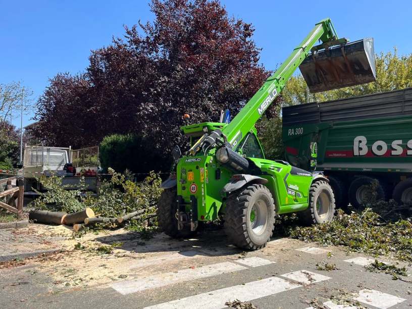 Mezzi al lavoro per rimuovere il grande albero abbattuto dal temporale in corso IV Novembre ad Alessandria.