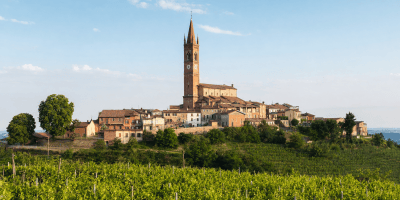 Veduta panoramica di Fubine Monferrato con il centro storico, il campanile di Santa Maria Assunta e i vigneti in primo piano.