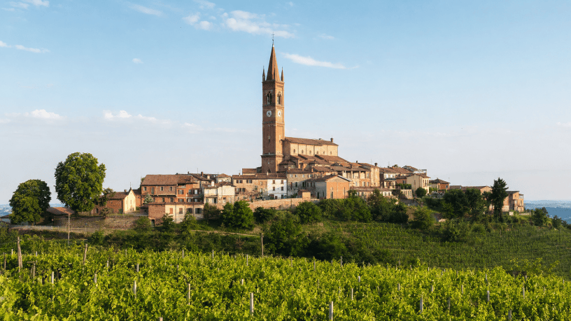 Veduta panoramica di Fubine Monferrato con il centro storico, il campanile di Santa Maria Assunta e i vigneti in primo piano.